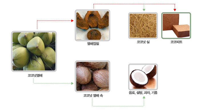 코코피트가 되는 과정