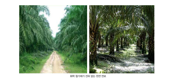 화학 첨가제가 전혀 없는 천연 연료