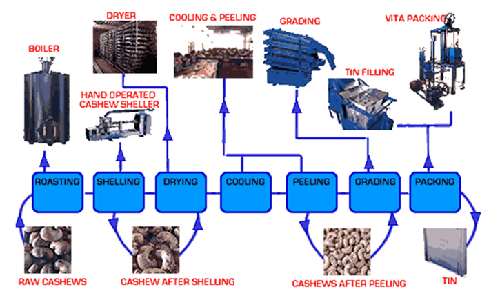 캐슈넛 부산물공정