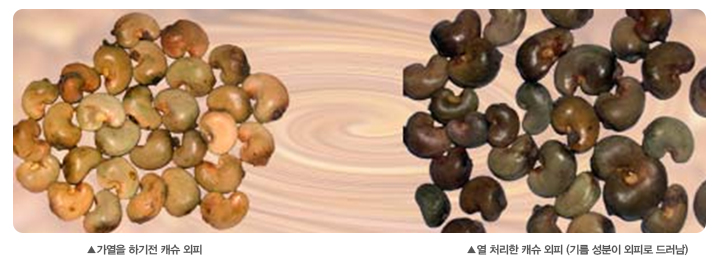 캐슈넛  가열 전후